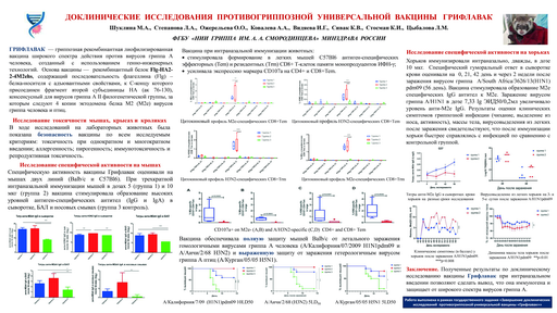 3. Доклинические  исcледования  противогриппозной  универсальной  вакцины  грифлавак