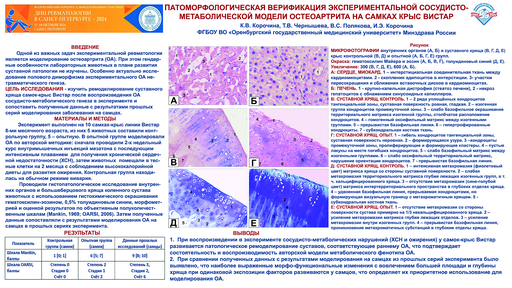 16. Патоморфологическая верификация экспериментальной сосудисто-метаболической модели остеоартрита на самках крыс вистар