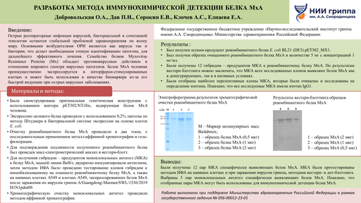 РАЗРАБОТКА МЕТОДА ИММУНОХИМИЧЕСКОЙ ДЕТЕКЦИИ БЕЛКА МхА