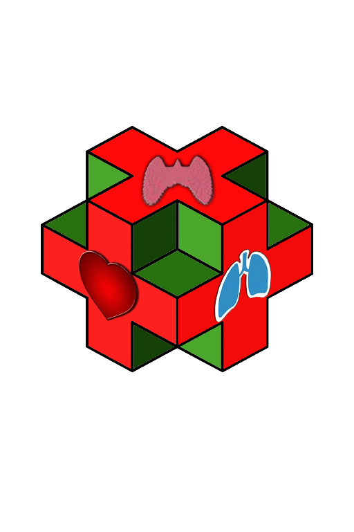 Всероссийский междисциплинарный конгресс 