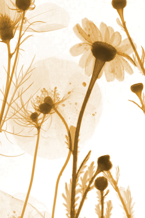 Весенняя Школа РОРР - Неотложная диагностика