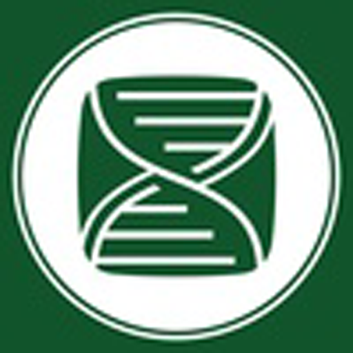 Институт биомедицинских систем и биотехнологий Санкт-Петербургского политехнического университета Петра Великого